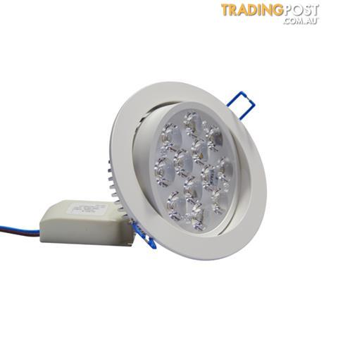12W Downlight Kit - Cool Light - (Non-Dimmable)