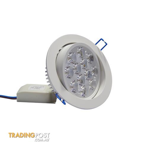 12W Downlight Kit - Warm Light - (Non-Dimmable)