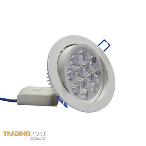 12W Downlight Kit - Cool Light - (Dimmable)