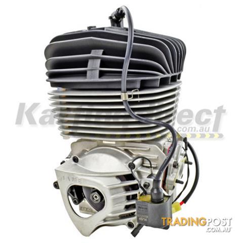 Go Kart IAME KA100 TAG Engine Kit   IAME Reed Jet - ALL BRAND NEW !!!