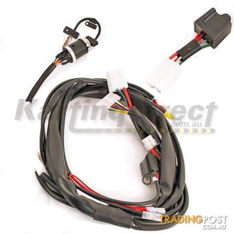 Go Kart IAME X30  RL Leopard Wiring Harness  Includes Key and Relay. CDI Sold Separately - ALL BRAND NEW !!!