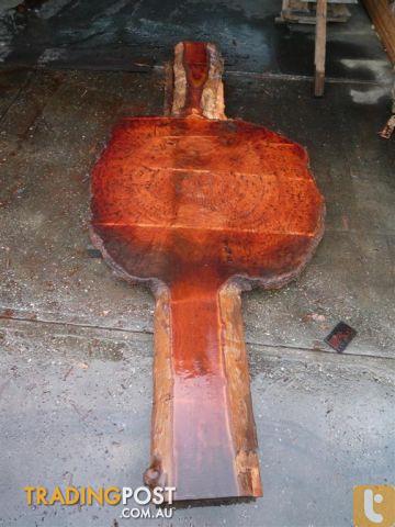 Forest Redgum Slab with Burl