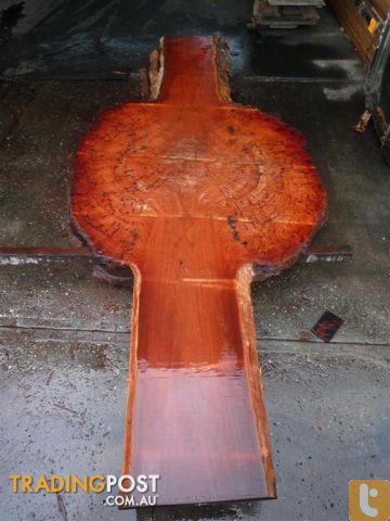 Forest Redgum Slab with Burl