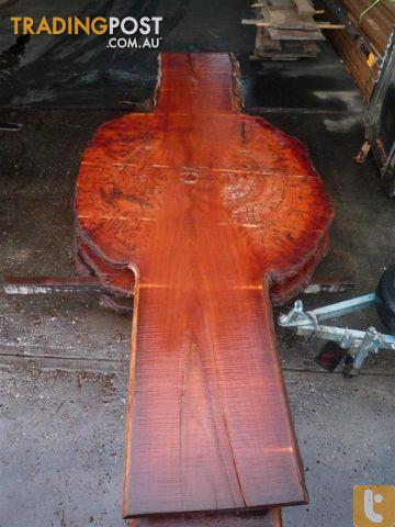 Forest Redgum Slab with Burl