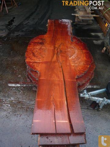 Forest Redgum Slab with Burl