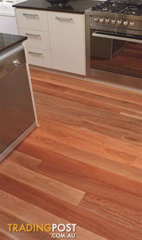 Brushbox Hardwood  Flooring 