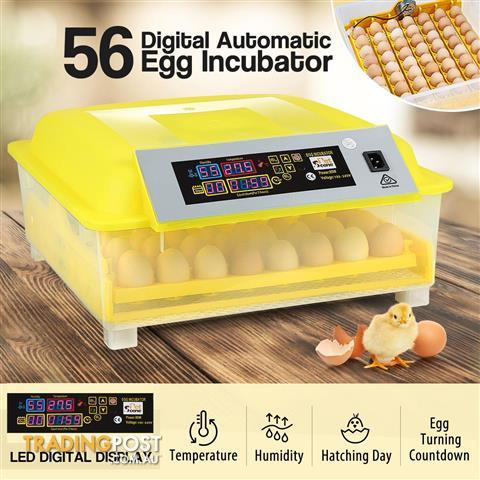 56 egg incubator