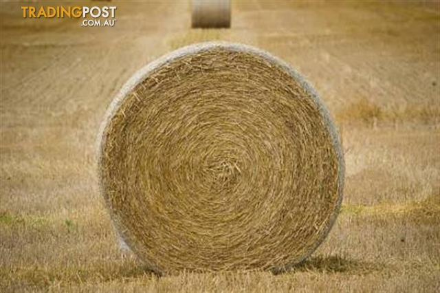 Hay Bales For Sale