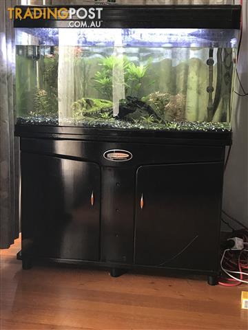 200l fish tank