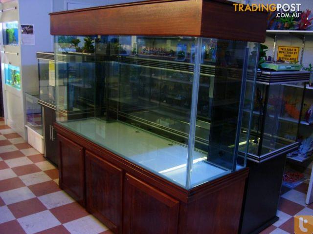 Custom Built Aquariums for sale in Mansfield Park SA - 6ft X 2ft X 3ft BoxeD640x480